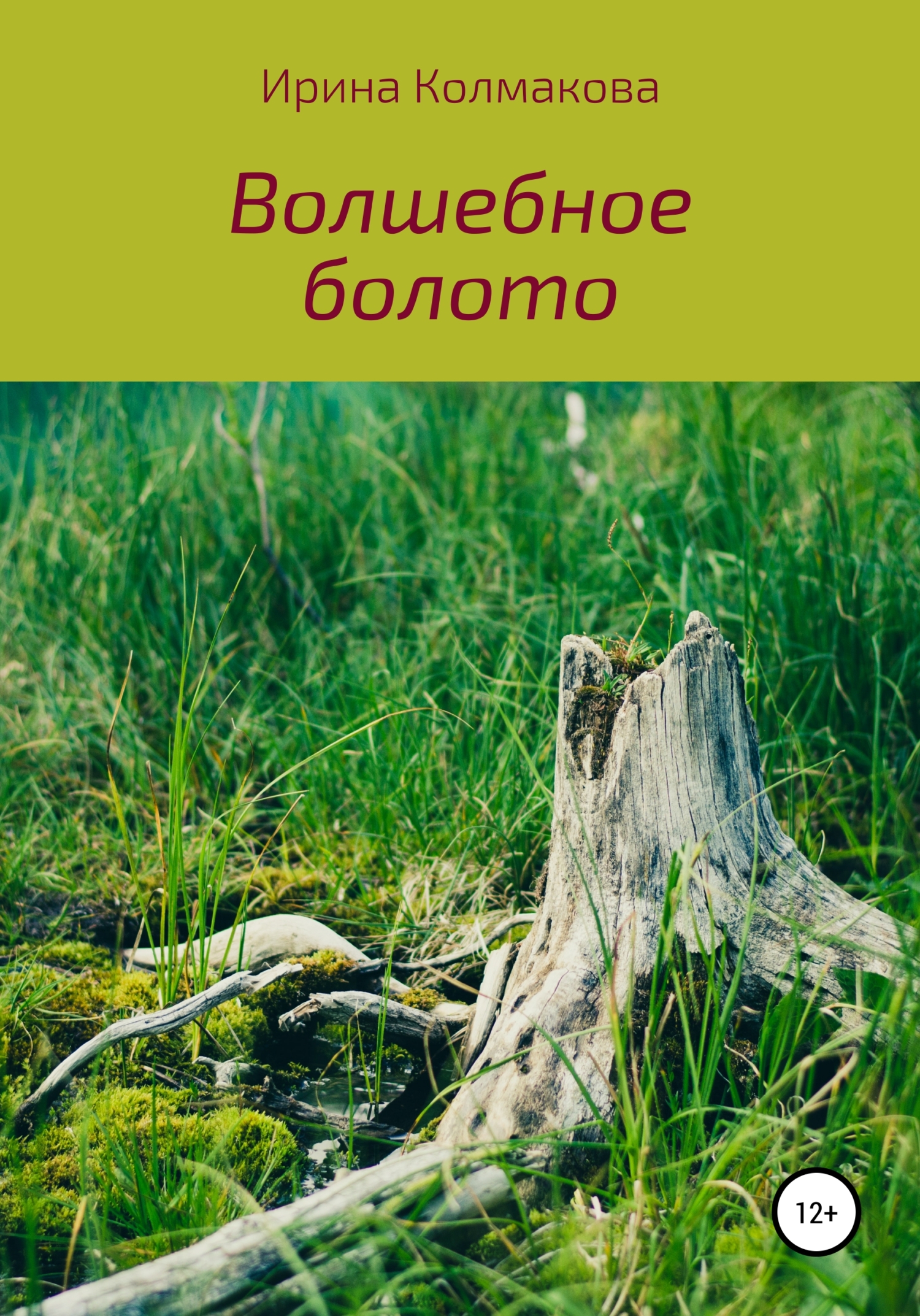Волшебное болото - Ирина Владимировна Колмакова - Читать книги онлайн | Слушать аудиокниги онлайн | Электронная библиотека books-lib.com
