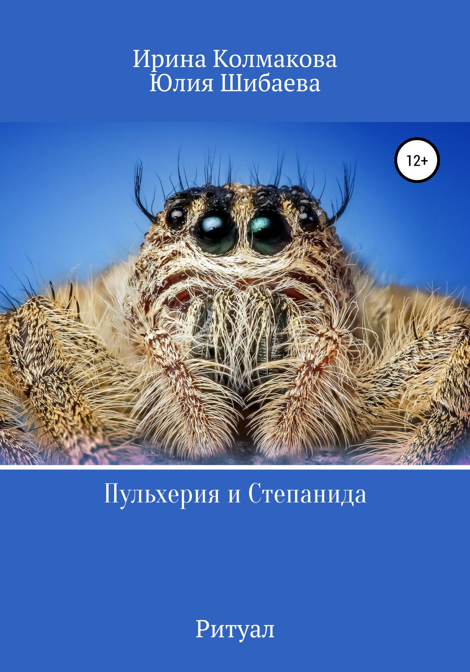 Пульхерия и Степанида. Ритуал - Ирина Владимировна Колмакова - Читать книги онлайн | Слушать аудиокниги онлайн | Электронная библиотека books-lib.com