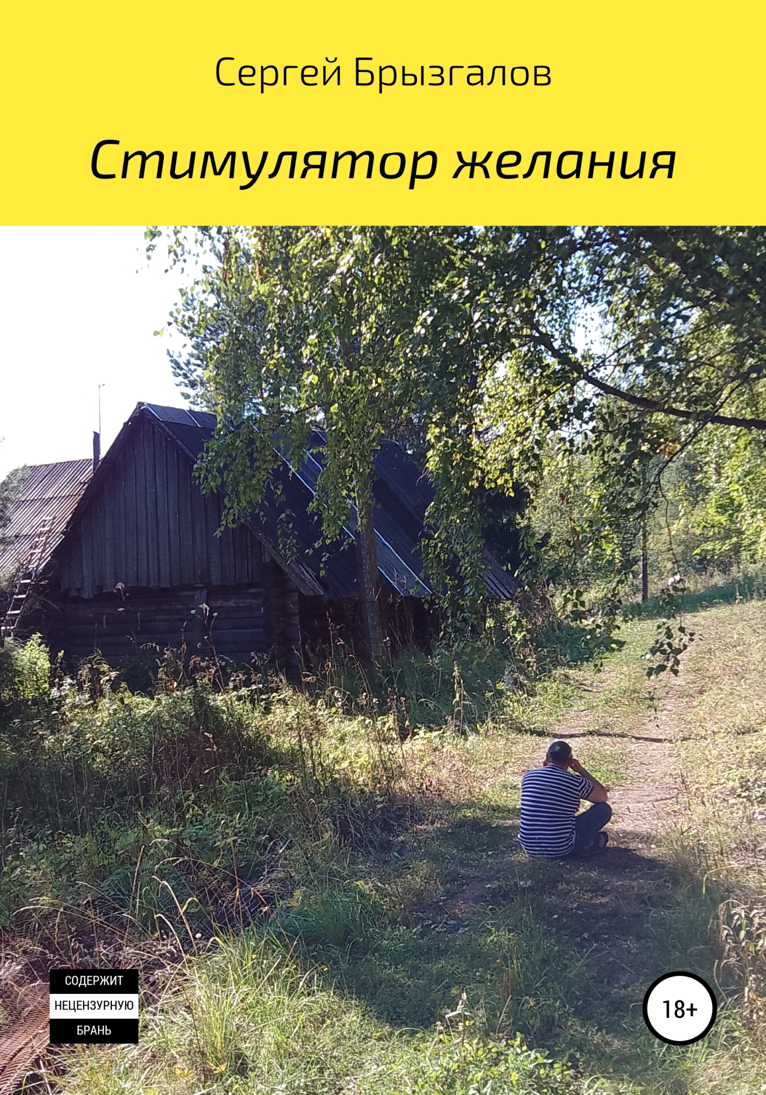Стимулятор желания - Сергей Владимирович Брызгалов - Читать книги онлайн | Слушать аудиокниги онлайн | Электронная библиотека books-lib.com