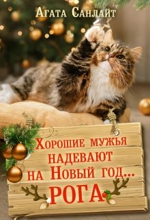 Хорошие мужья надевают на Новый год... рога - Агата Санлайт - Читать книги онлайн | Слушать аудиокниги онлайн | Электронная библиотека books-lib.com