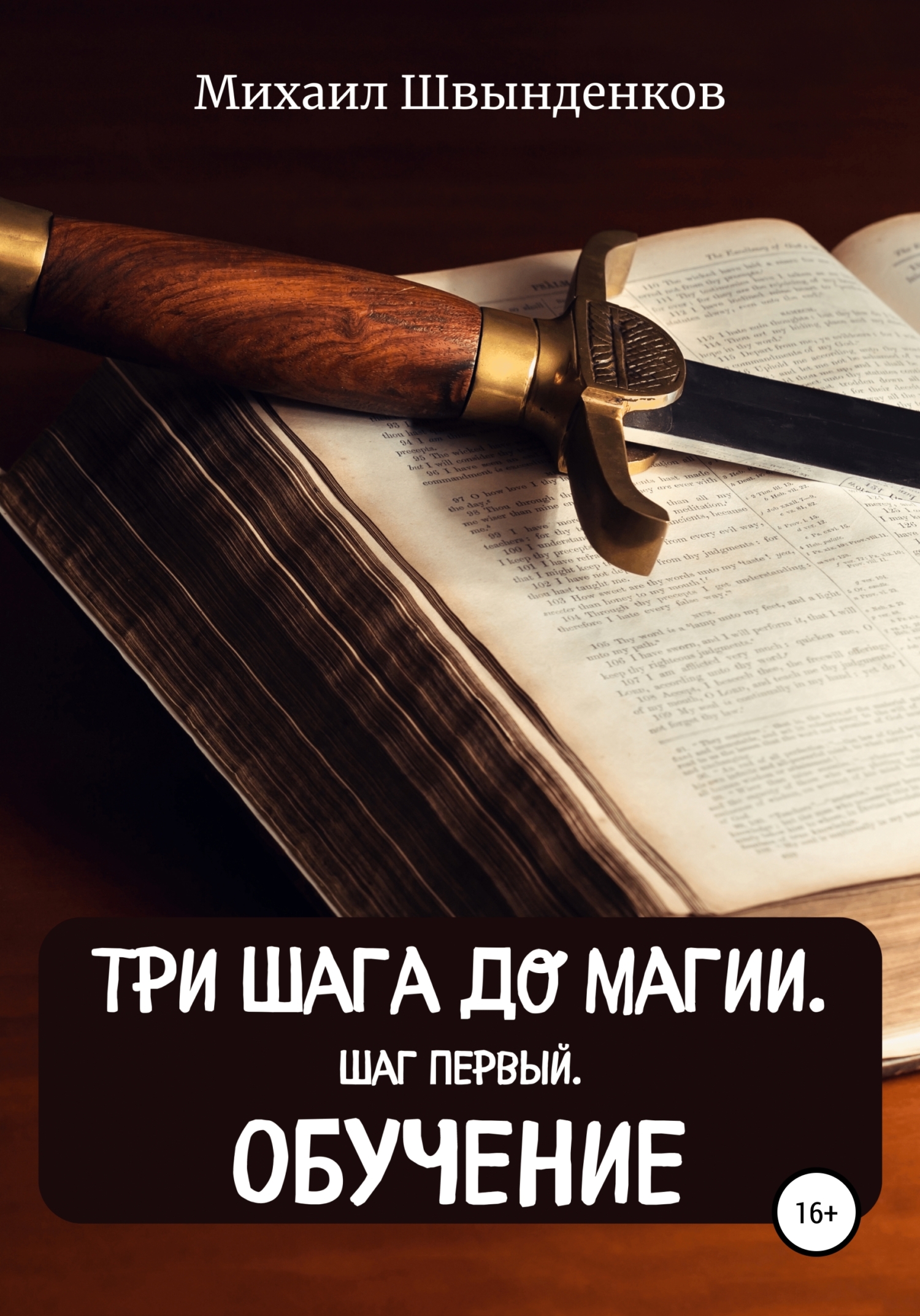 Три шага до магии. Шаг первый. Обучение - Михаил Александрович Швынденков - Читать книги онлайн | Слушать аудиокниги онлайн | Электронная библиотека books-lib.com