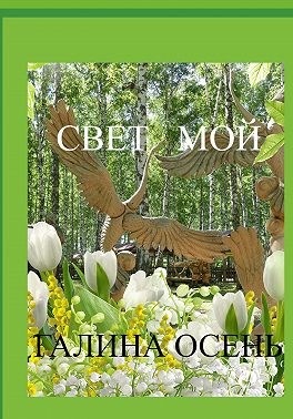 Свет мой - Галина Осень - Читать книги онлайн | Слушать аудиокниги онлайн | Электронная библиотека books-lib.com