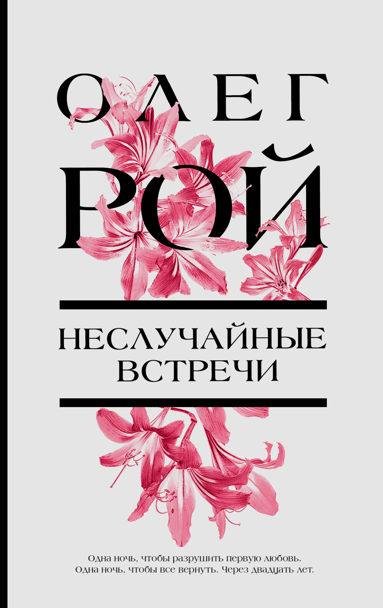 Неслучайные встречи - Олег Юрьевич Рой - Читать книги онлайн | Слушать аудиокниги онлайн | Электронная библиотека books-lib.com