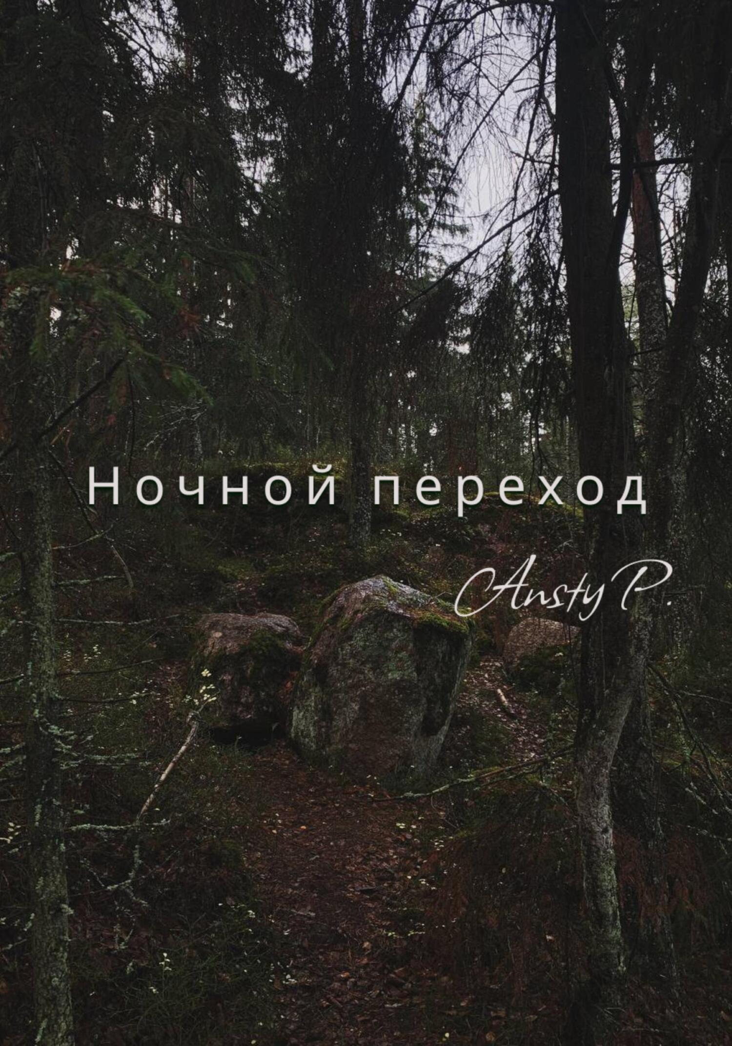 Ночной переход - Ansty P. - Читать книги онлайн | Слушать аудиокниги онлайн | Электронная библиотека books-lib.com