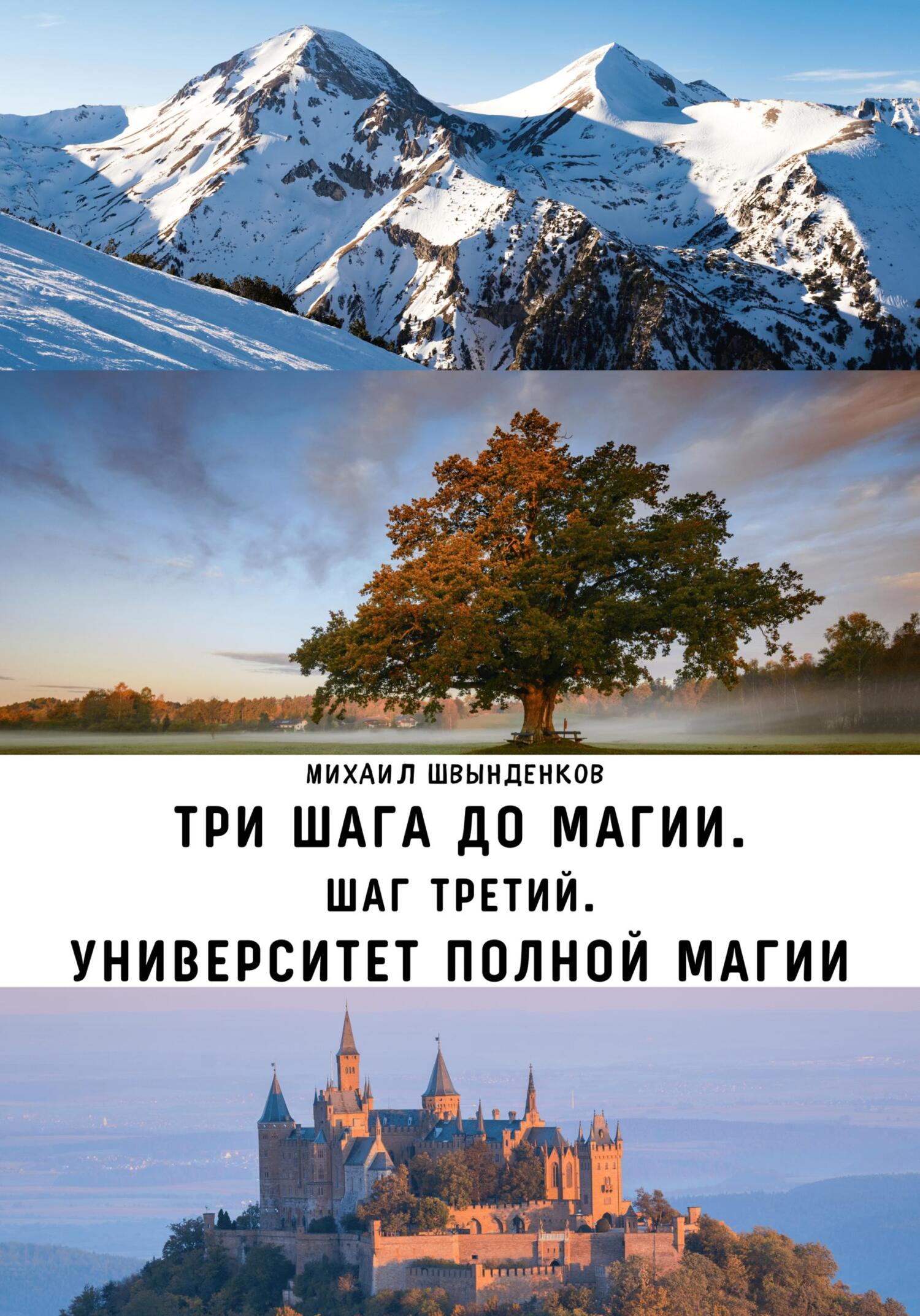 Три шага до магии. Шаг третий. Университет Полной Магии - Михаил Александрович Швынденков - Читать книги онлайн | Слушать аудиокниги онлайн | Электронная библиотека books-lib.com