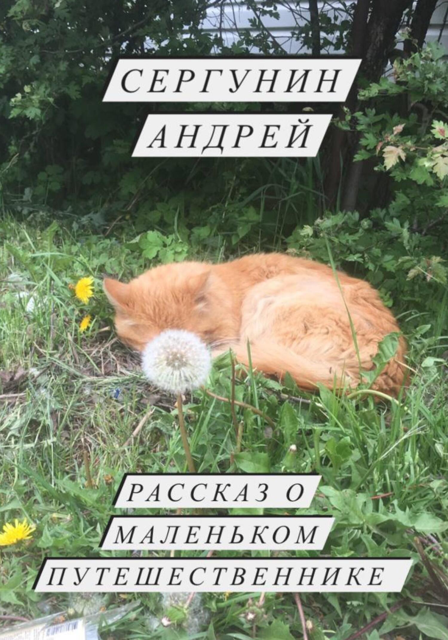 Рассказ о маленьком путешественнике - Андрей Андреевич Сергунин - Читать книги онлайн | Слушать аудиокниги онлайн | Электронная библиотека books-lib.com