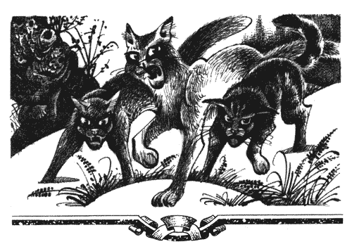 Голоса в ночи Голоса в ночи