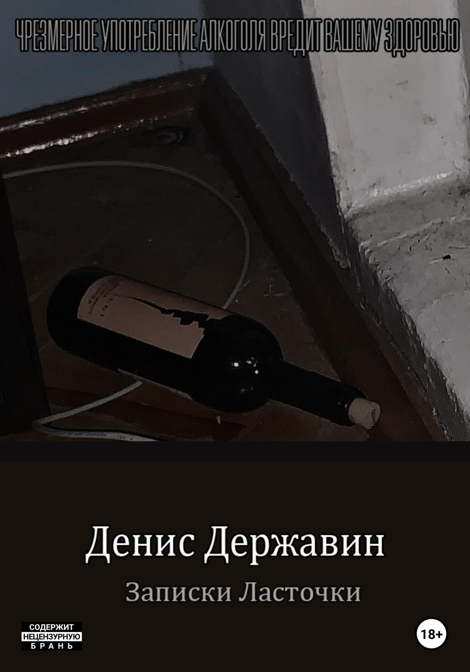 Записки ласточки - Денис Державин - Читать книги онлайн | Слушать аудиокниги онлайн | Электронная библиотека books-lib.com