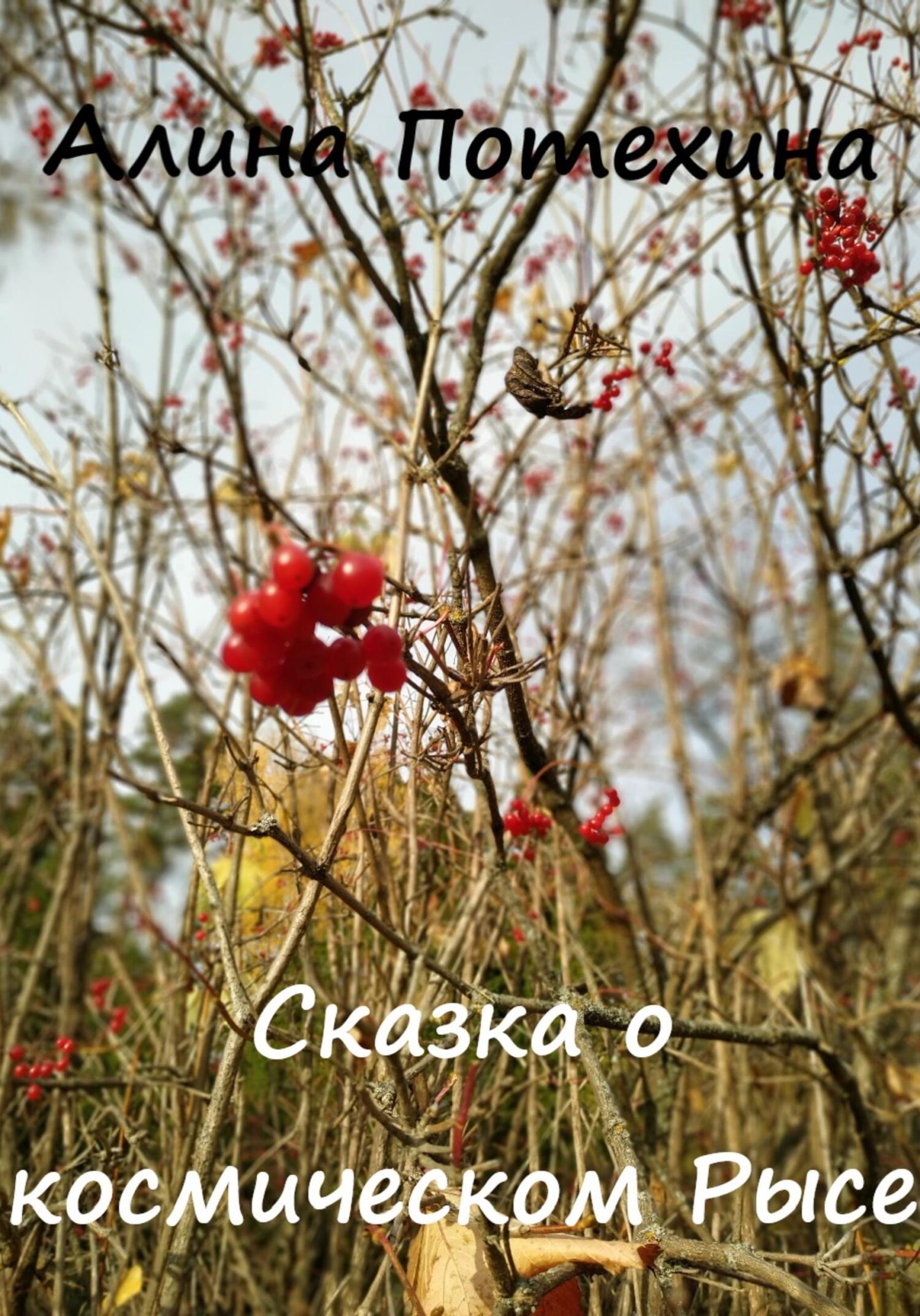 Сказка о космическом Рысе - Алина Потехина - Читать книги онлайн | Слушать аудиокниги онлайн | Электронная библиотека books-lib.com