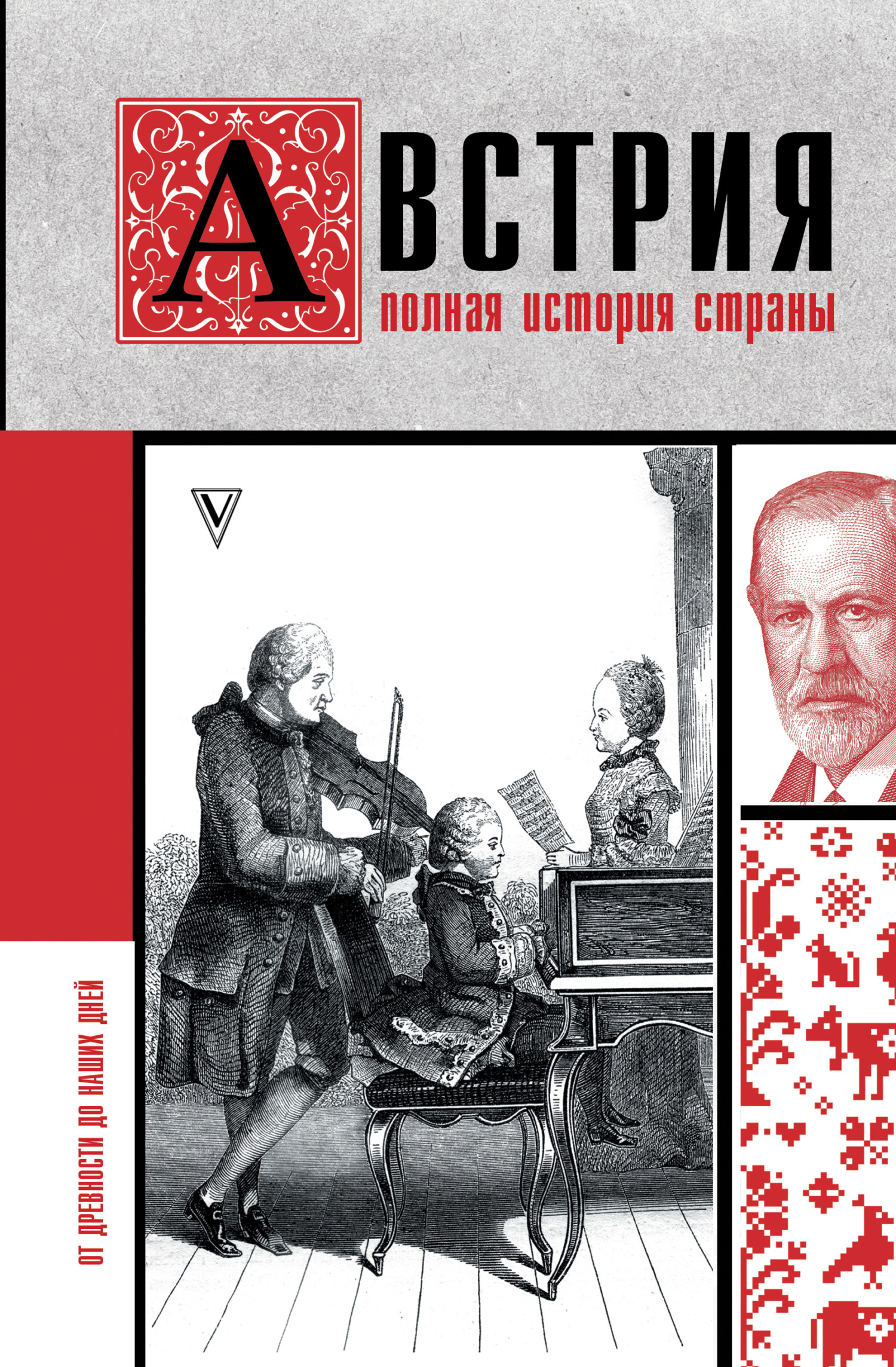 Австрия. Полная история страны - Франц Райнельт - Читать книги онлайн | Слушать аудиокниги онлайн | Электронная библиотека books-lib.com