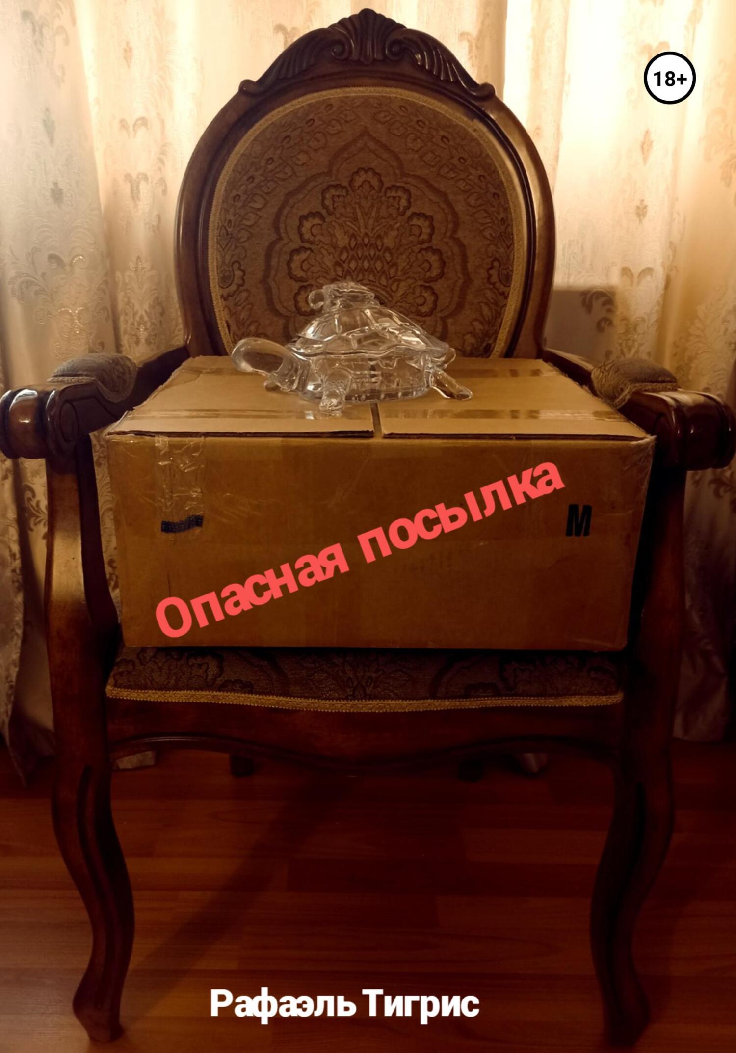 Опасная посылка - Тигрис Рафаэль - Читать книги онлайн | Слушать аудиокниги онлайн | Электронная библиотека books-lib.com