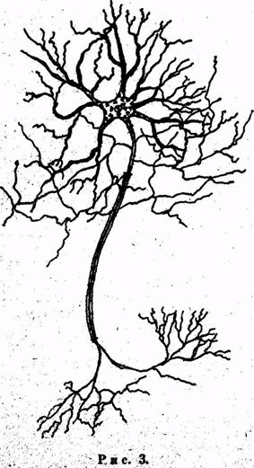 Психология. Учебник для учащихся педагогических училищ Психология. Учебник для учащихся педагогических училищ