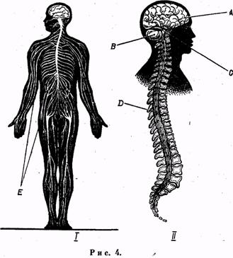 Психология. Учебник для учащихся педагогических училищ Психология. Учебник для учащихся педагогических училищ