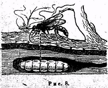 Психология. Учебник для учащихся педагогических училищ Психология. Учебник для учащихся педагогических училищ