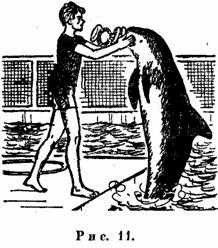 Психология. Учебник для учащихся педагогических училищ Психология. Учебник для учащихся педагогических училищ