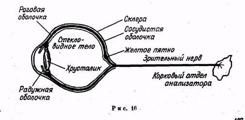 Психология. Учебник для учащихся педагогических училищ Психология. Учебник для учащихся педагогических училищ