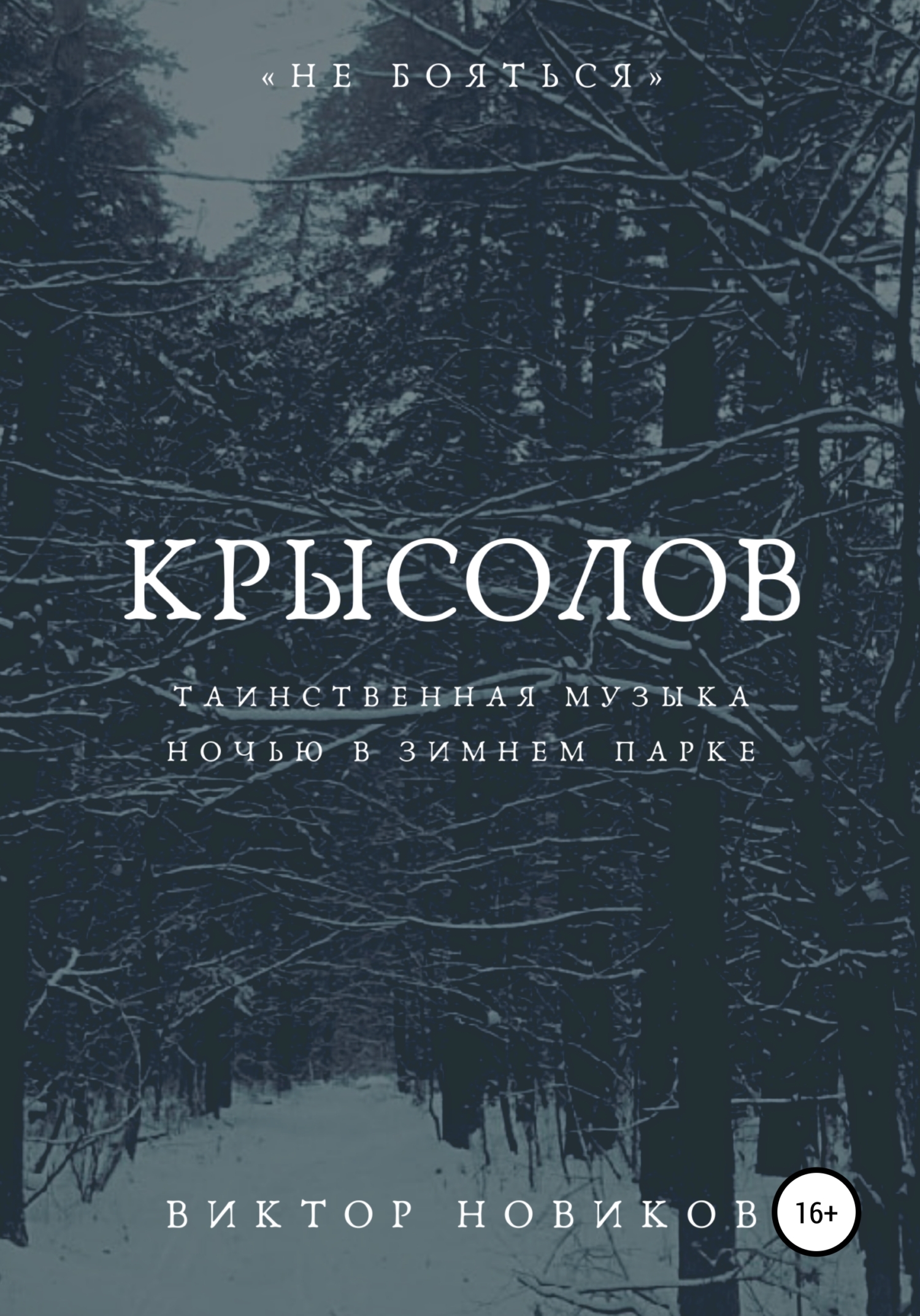 Крысолов - Виктор Новиков - Читать книги онлайн | Слушать аудиокниги онлайн | Электронная библиотека books-lib.com