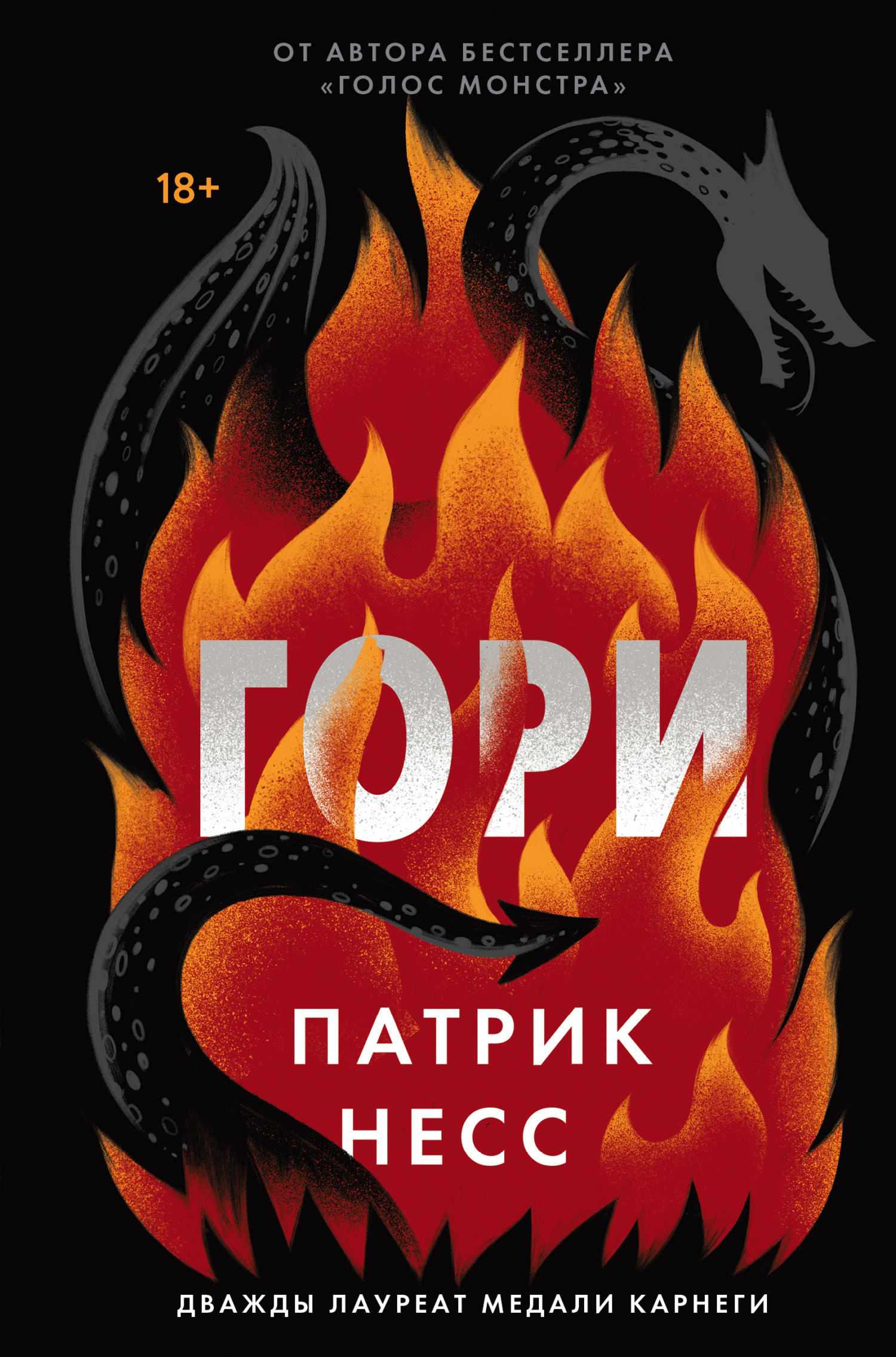 Гори - Патрик Несс - Читать книги онлайн | Слушать аудиокниги онлайн | Электронная библиотека books-lib.com