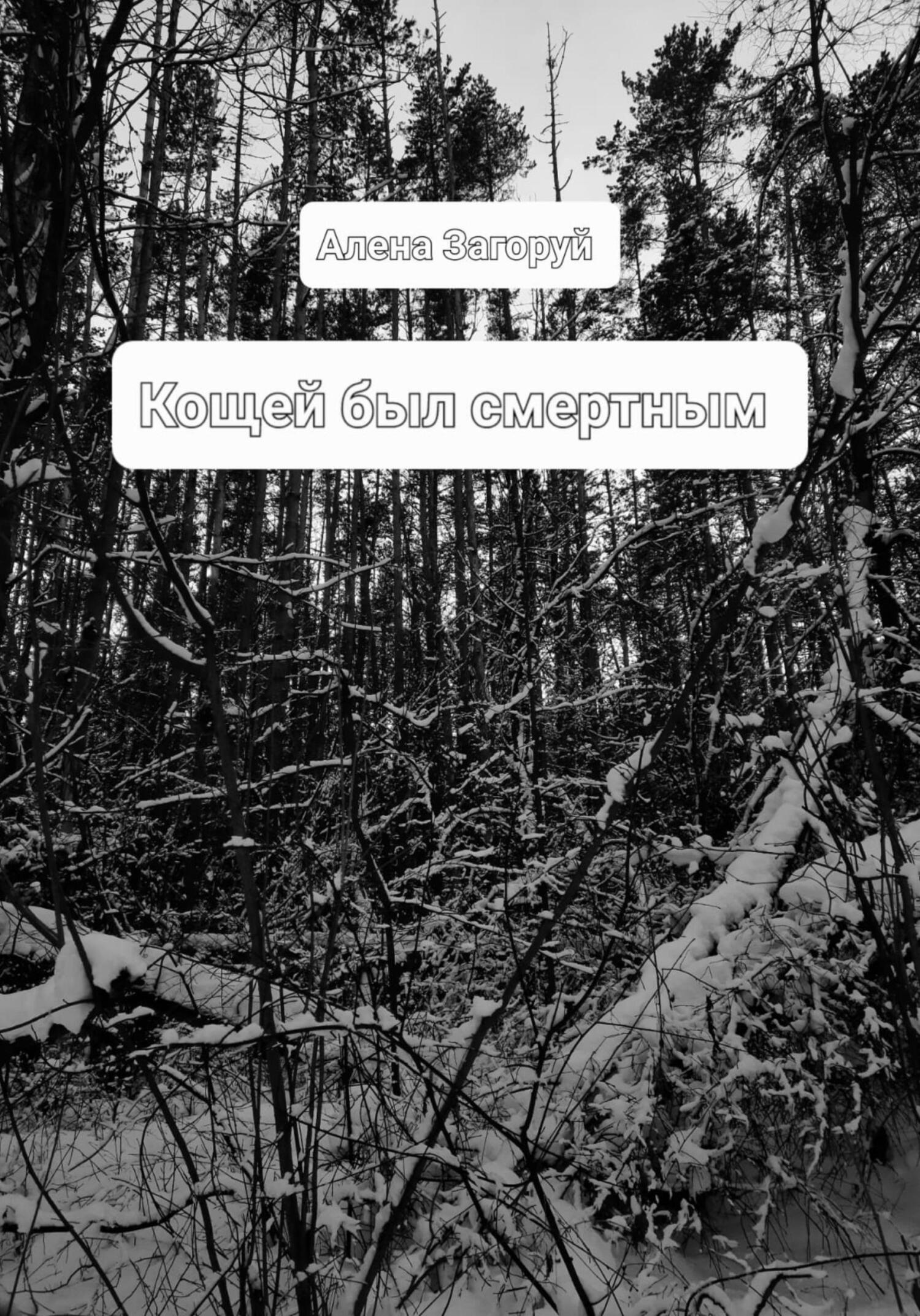 Кощей был смертным - Алена Загоруй - Читать книги онлайн | Слушать аудиокниги онлайн | Электронная библиотека books-lib.com