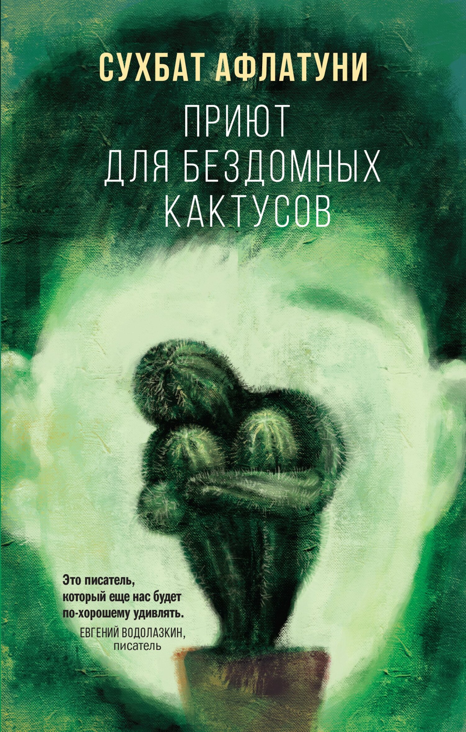 Приют для бездомных кактусов - Сухбат Афлатуни - Читать книги онлайн | Слушать аудиокниги онлайн | Электронная библиотека books-lib.com