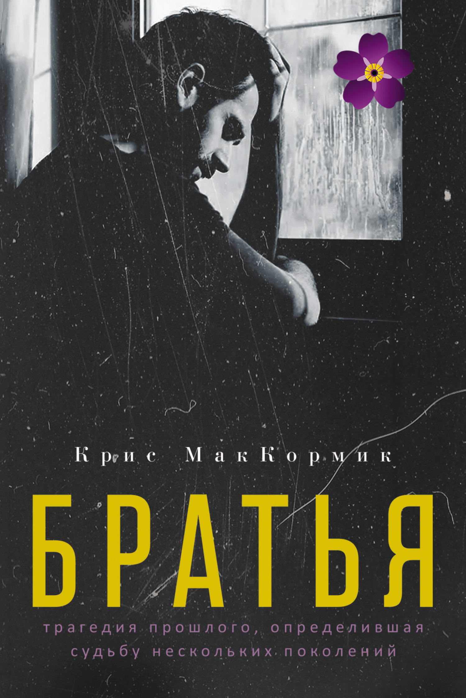 Братья - Крис МакКормик - Читать книги онлайн | Слушать аудиокниги онлайн | Электронная библиотека books-lib.com