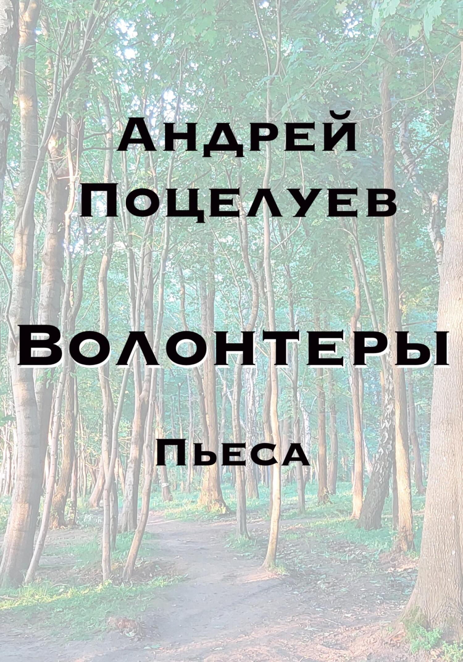 Волонтеры - Андрей Владимирович Поцелуев - Читать книги онлайн | Слушать аудиокниги онлайн | Электронная библиотека books-lib.com