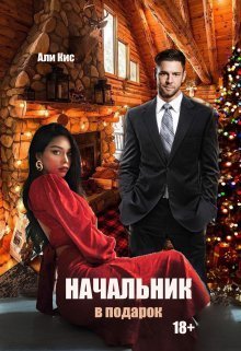 Начальник в подарок - Али Кис - Читать книги онлайн | Слушать аудиокниги онлайн | Электронная библиотека books-lib.com