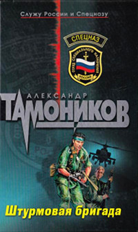 Штурмовая бригада - Александр Тамоников - Читать книги онлайн | Слушать аудиокниги онлайн | Электронная библиотека books-lib.com