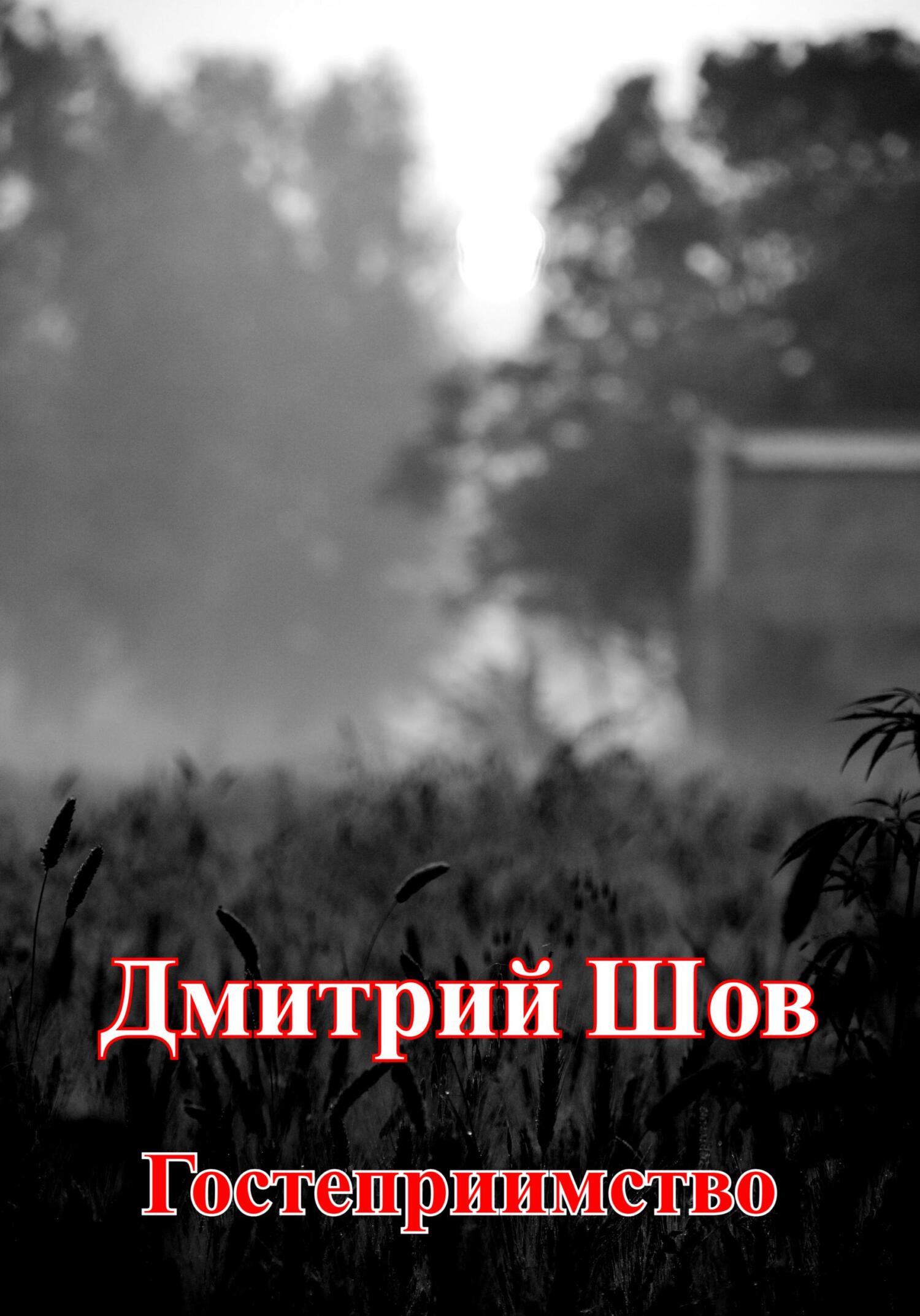 Гостеприимство - Дмитрий Шов - Читать книги онлайн | Слушать аудиокниги онлайн | Электронная библиотека books-lib.com