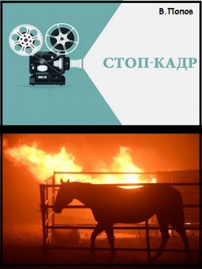 Попов Валерий - Стоп-кадр - Читать книги онлайн | Слушать аудиокниги онлайн | Электронная библиотека books-lib.com