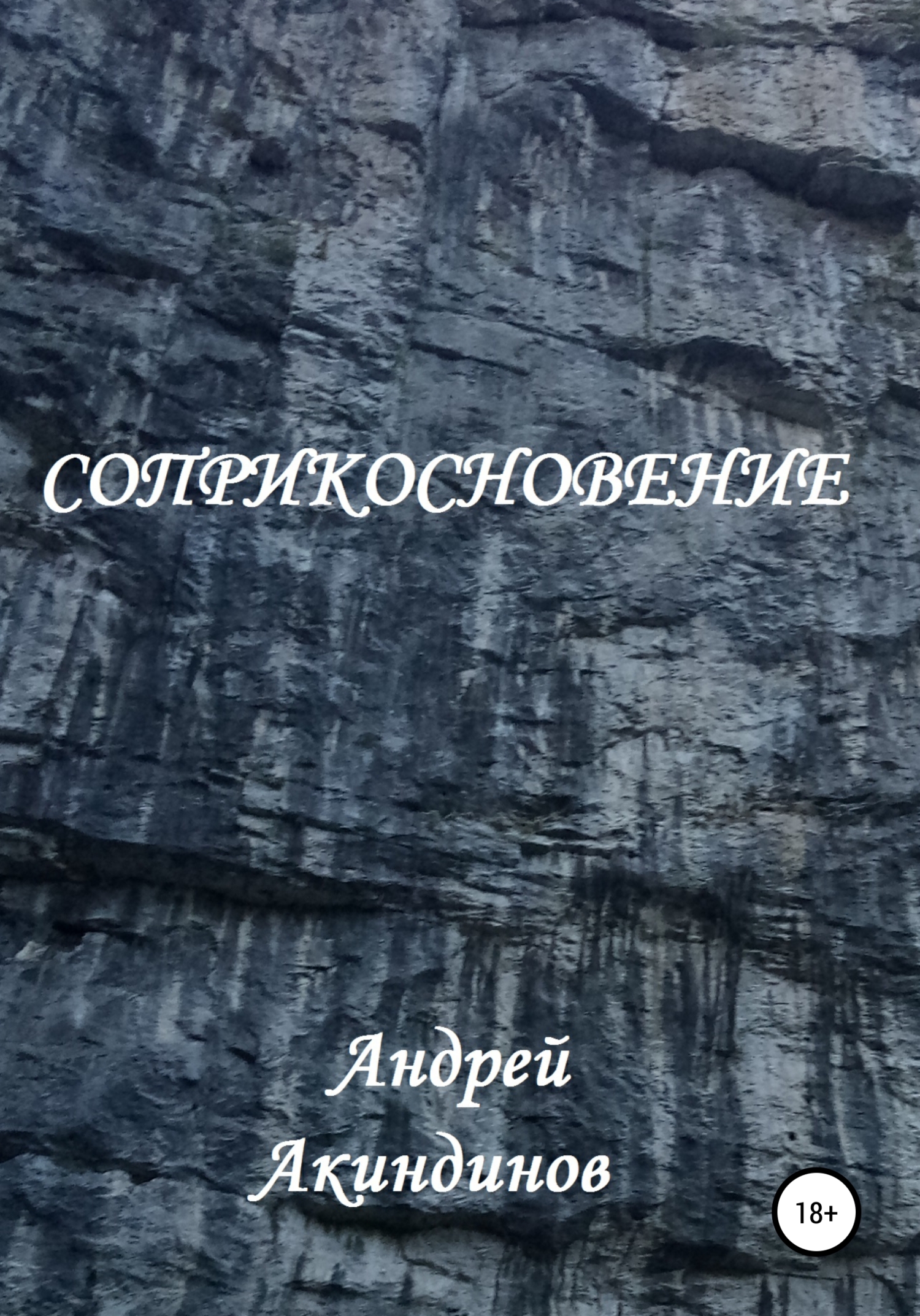 Соприкосновение - Андрей Геннадьевич Акиндинов - Читать книги онлайн | Слушать аудиокниги онлайн | Электронная библиотека books-lib.com