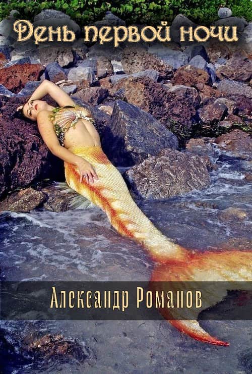 День первой ночи - Александр Анатольевич Романов - Читать книги онлайн | Слушать аудиокниги онлайн | Электронная библиотека books-lib.com