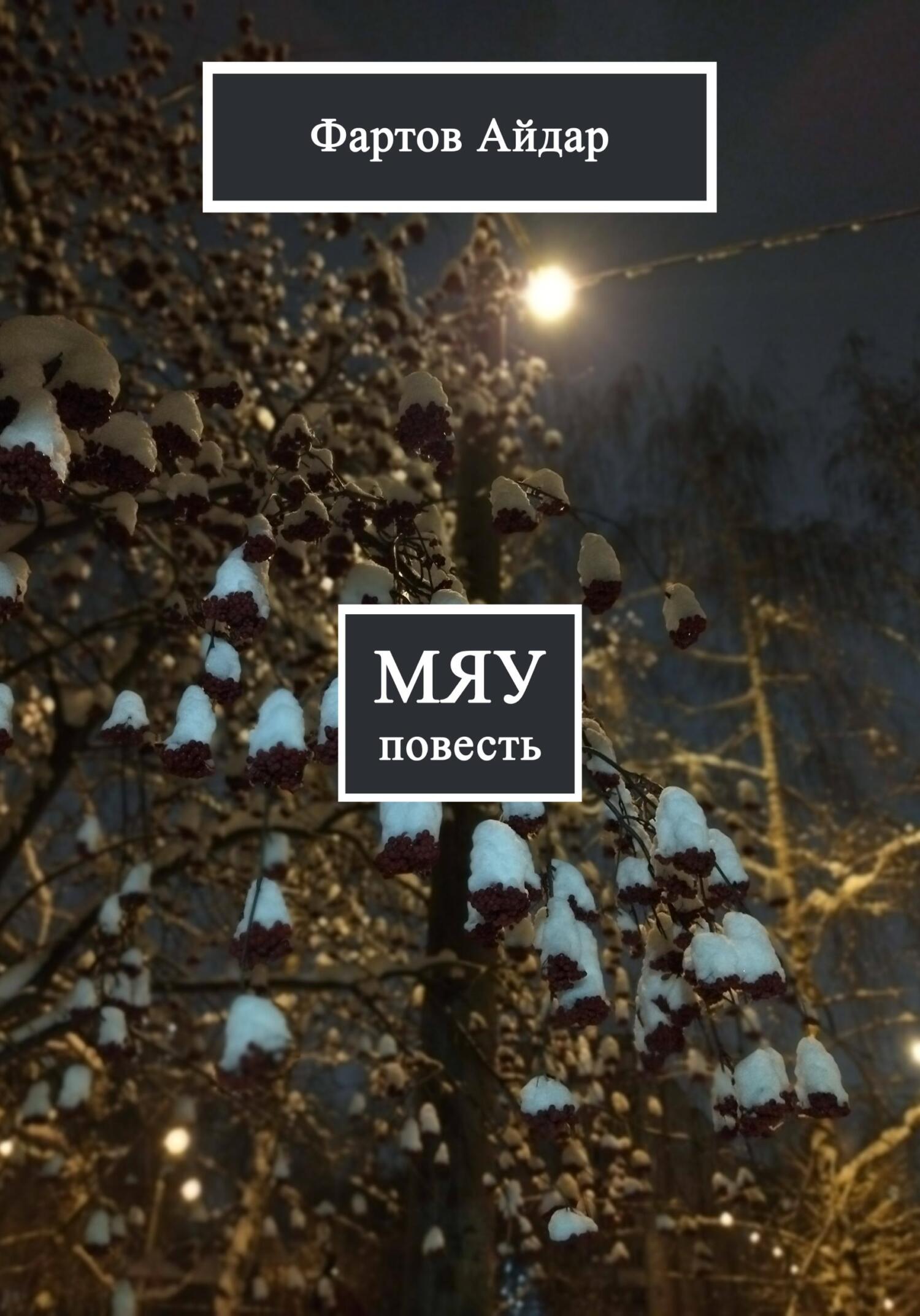 Мяу - Айдар Табрисович Фартов - Читать книги онлайн | Слушать аудиокниги онлайн | Электронная библиотека books-lib.com