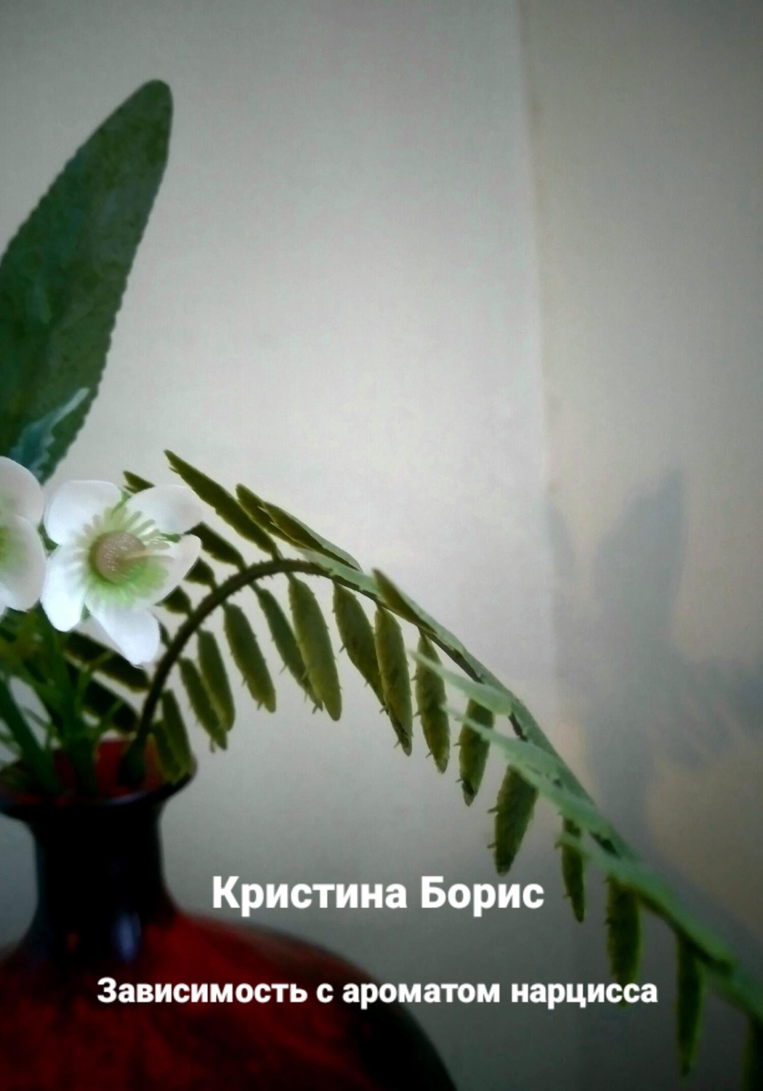 Зависимость с ароматом нарцисса - Кристина Борис - Читать книги онлайн | Слушать аудиокниги онлайн | Электронная библиотека books-lib.com