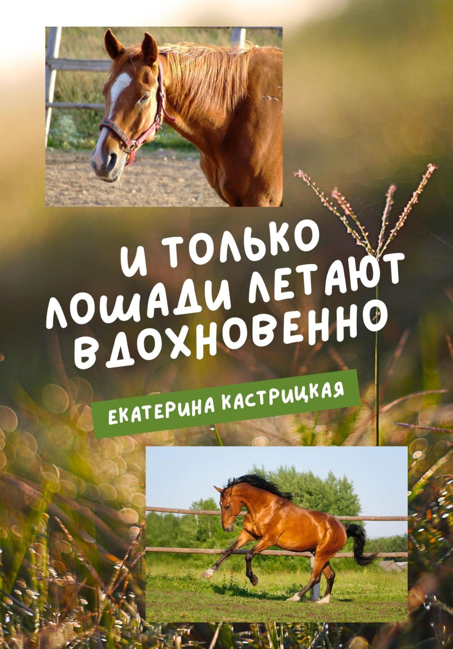 И только лошади летают вдохновенно - Екатерина Кастрицкая - Читать книги онлайн | Слушать аудиокниги онлайн | Электронная библиотека books-lib.com