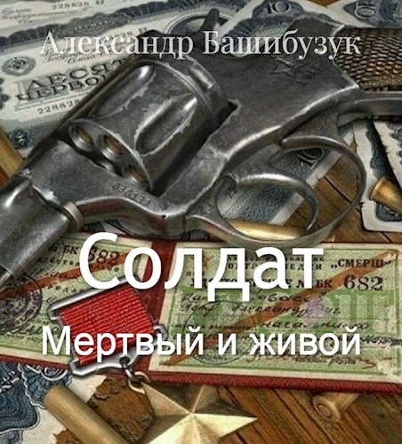 Солдат. Мертвый и живой - Александр Вячеславович Башибузук - Читать книги онлайн | Слушать аудиокниги онлайн | Электронная библиотека books-lib.com
