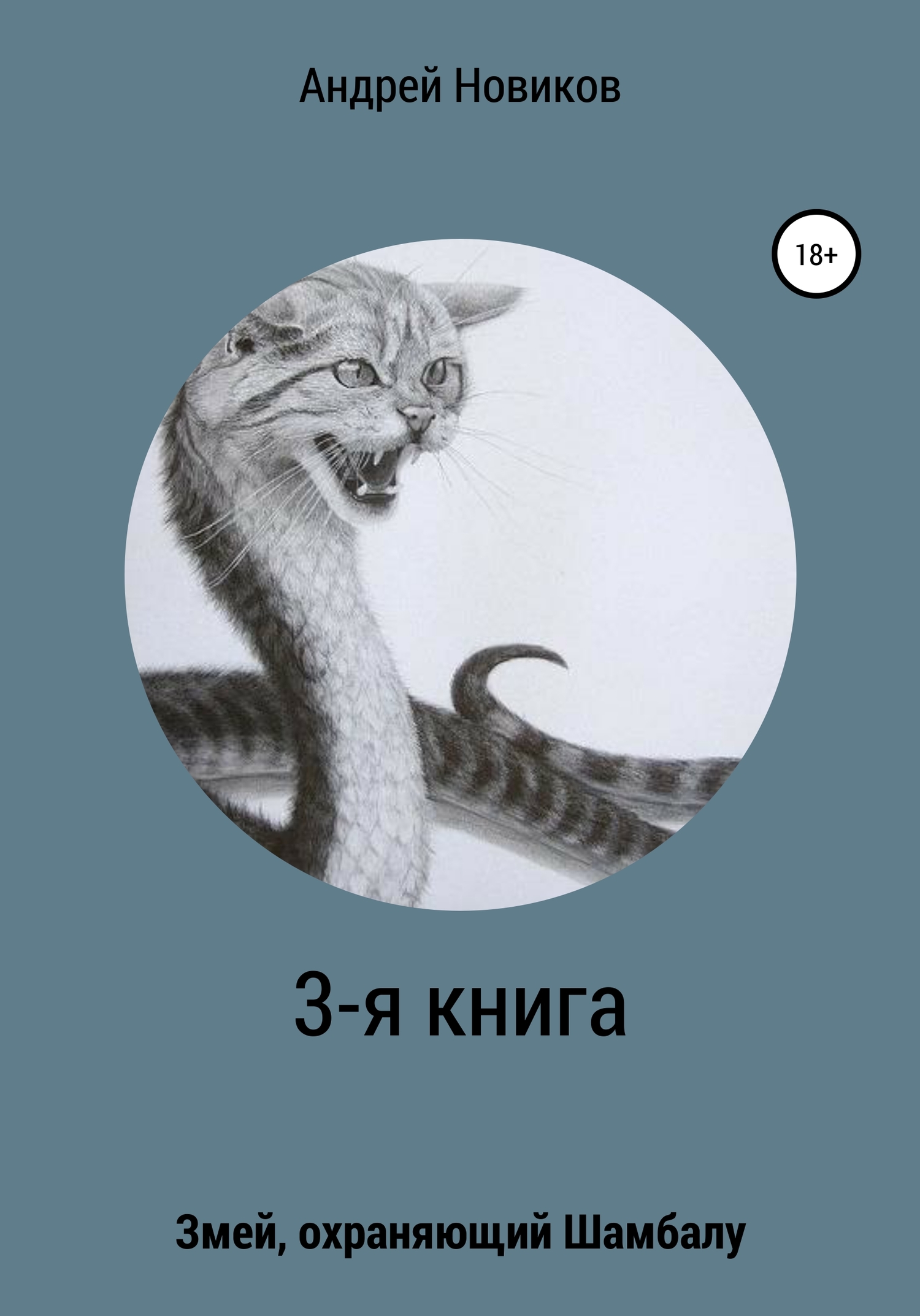 3-я книга. Змей, охраняющий Шамбалу - Андрей Вадимович Новиков - Читать книги онлайн | Слушать аудиокниги онлайн | Электронная библиотека books-lib.com
