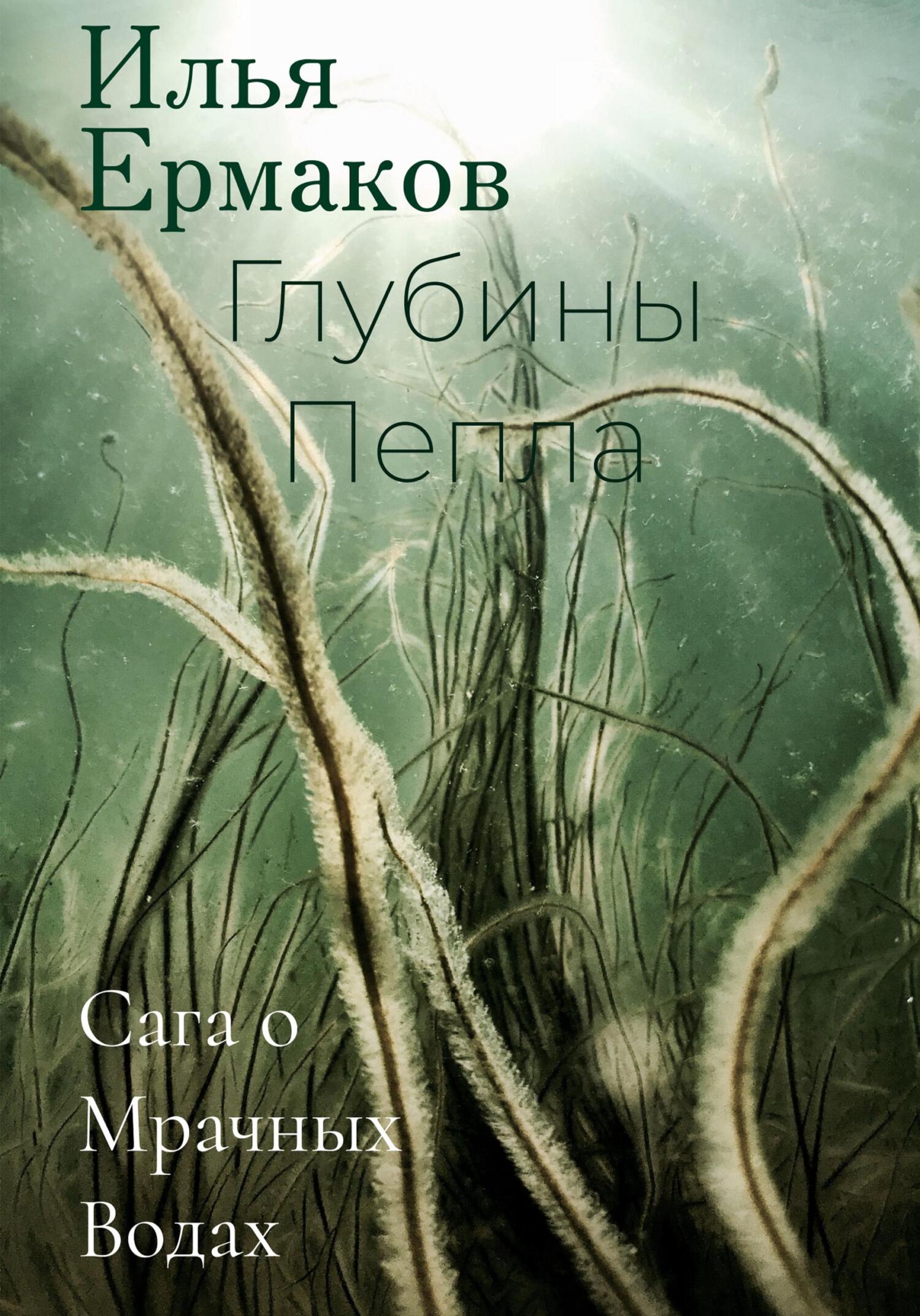 Сага о Мрачных Водах. Глубины Пепла - Илья Сергеевич Ермаков - Читать книги онлайн | Слушать аудиокниги онлайн | Электронная библиотека books-lib.com