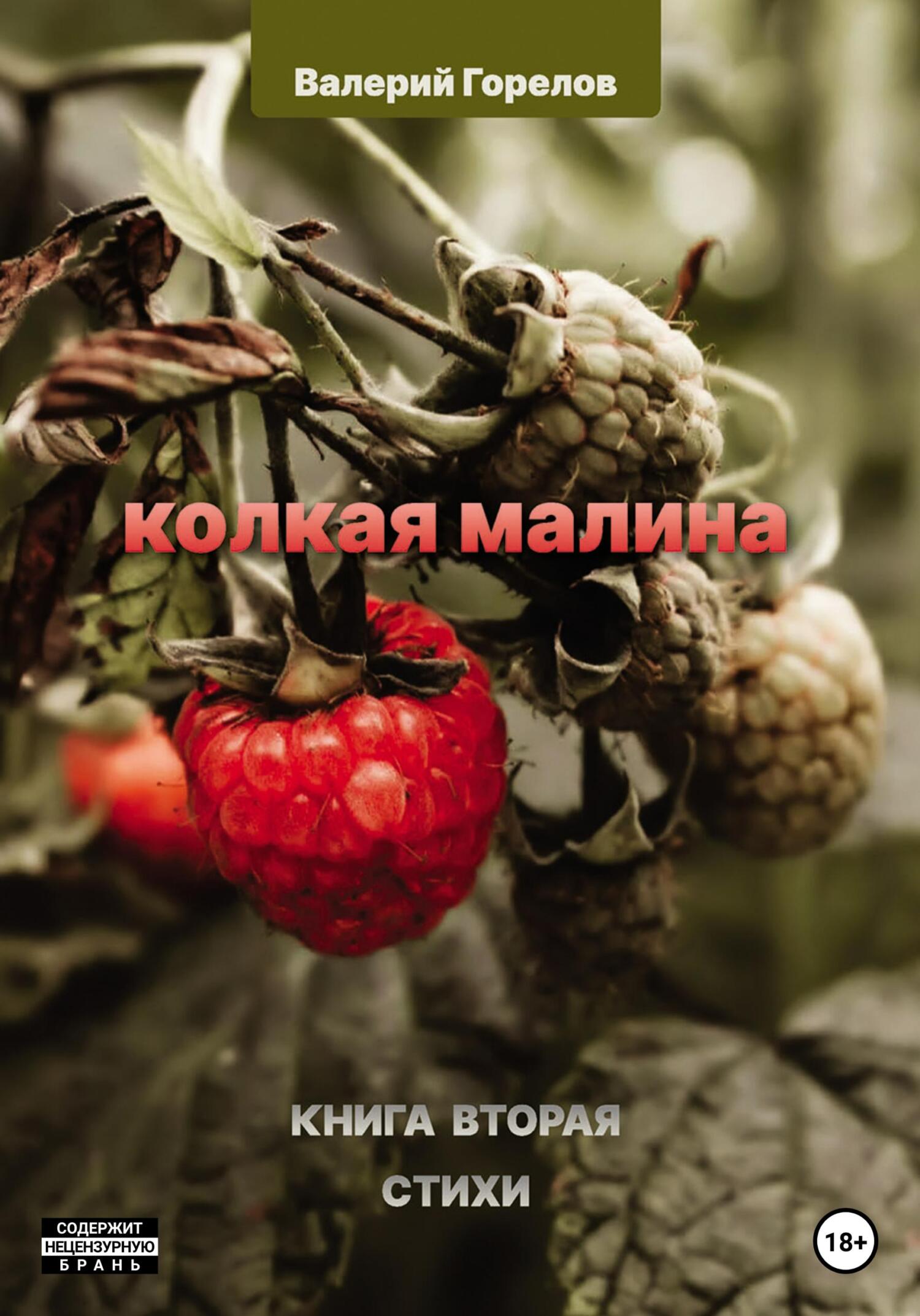Колкая малина. Книга вторая - Валерий Горелов - Читать книги онлайн | Слушать аудиокниги онлайн | Электронная библиотека books-lib.com