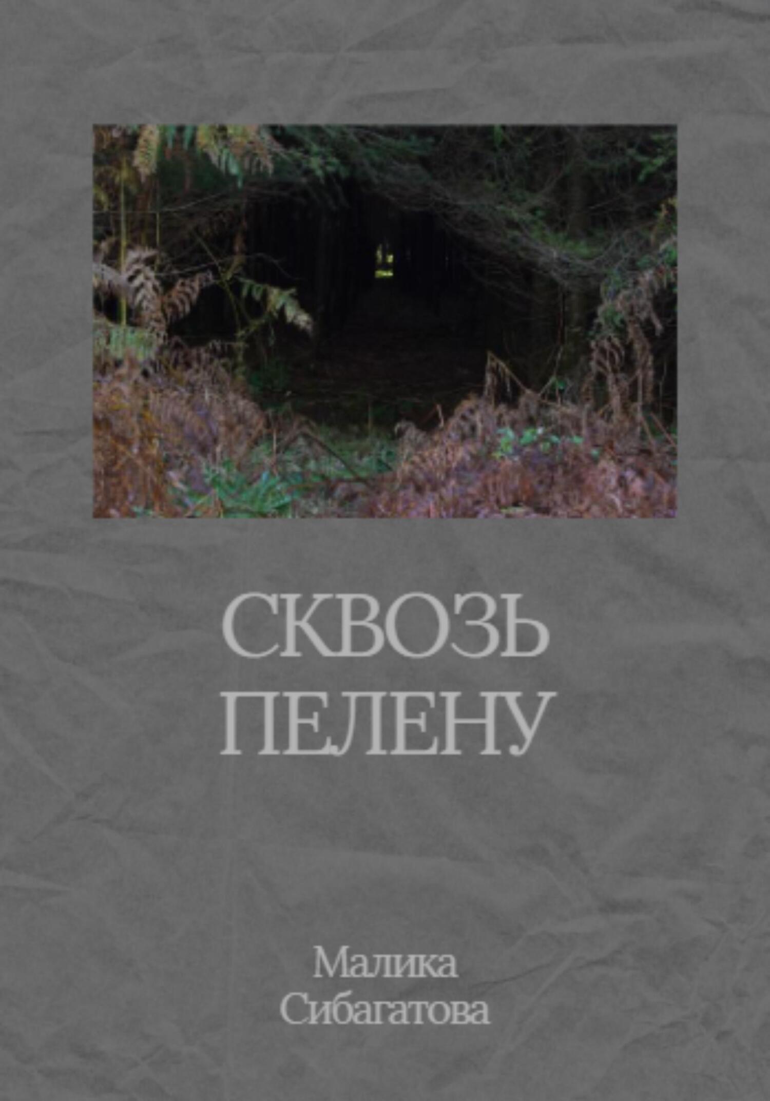 Сквозь пелену - Малика Сибагатова - Читать книги онлайн | Слушать аудиокниги онлайн | Электронная библиотека books-lib.com