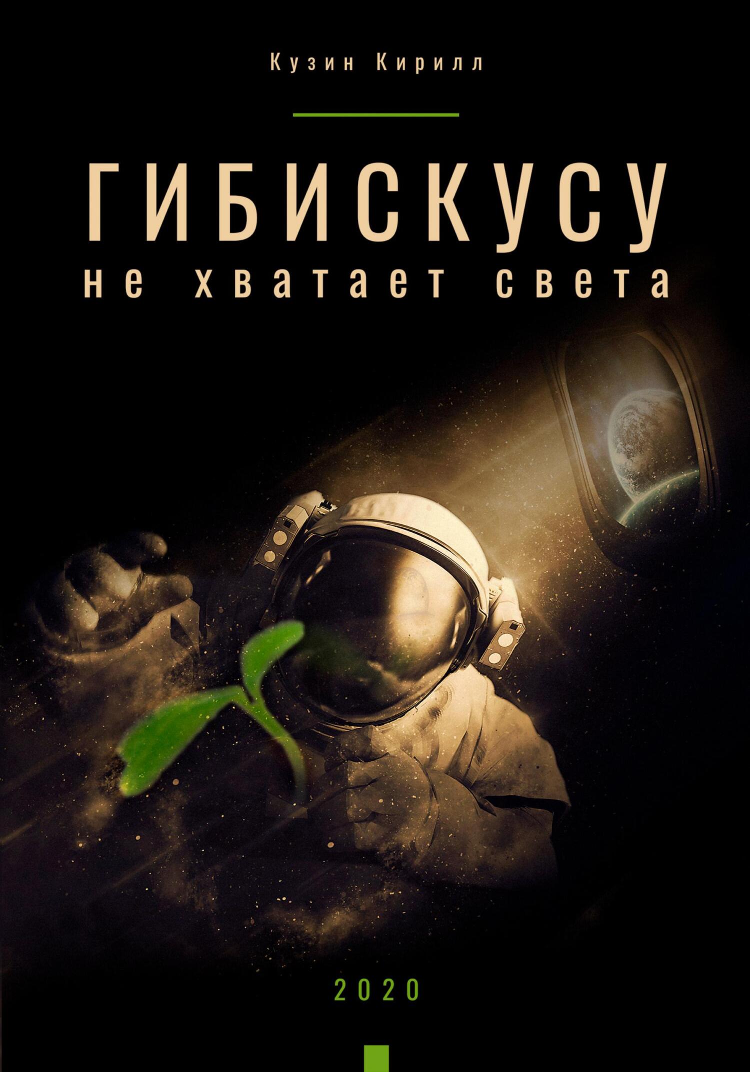 Гибискусу не хватает света - Кирилл Андреевич Кузин - Читать книги онлайн | Слушать аудиокниги онлайн | Электронная библиотека books-lib.com