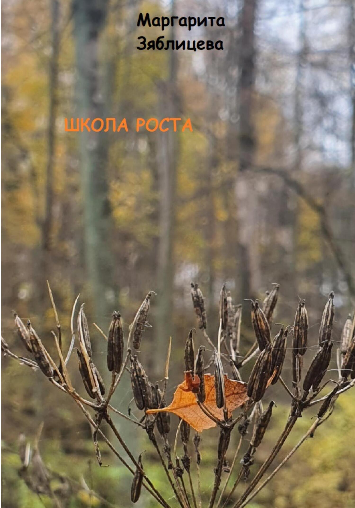 Школа роста - Маргарита Зяблицева - Читать книги онлайн | Слушать аудиокниги онлайн | Электронная библиотека books-lib.com