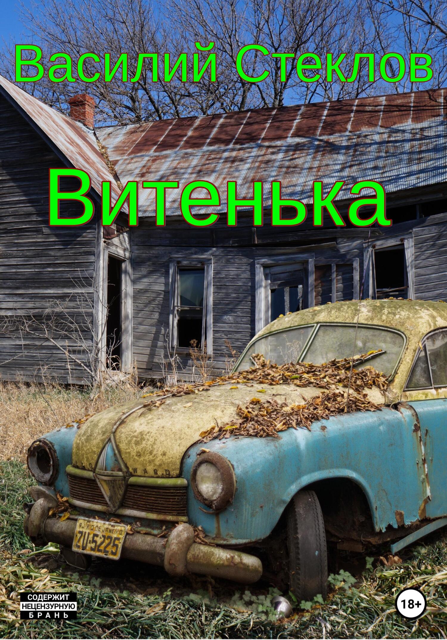 Витенька - Василий Стеклов - Читать книги онлайн | Слушать аудиокниги онлайн | Электронная библиотека books-lib.com