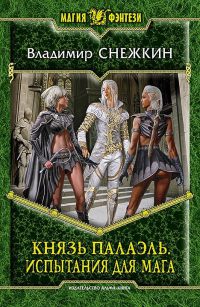 Испытания для мага - Владимир Снежкин - Читать книги онлайн | Слушать аудиокниги онлайн | Электронная библиотека books-lib.com