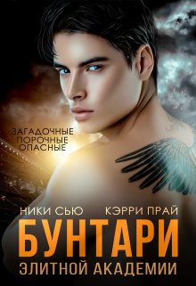 Бунтари элитной академии - Ники Сью - Читать книги онлайн | Слушать аудиокниги онлайн | Электронная библиотека books-lib.com