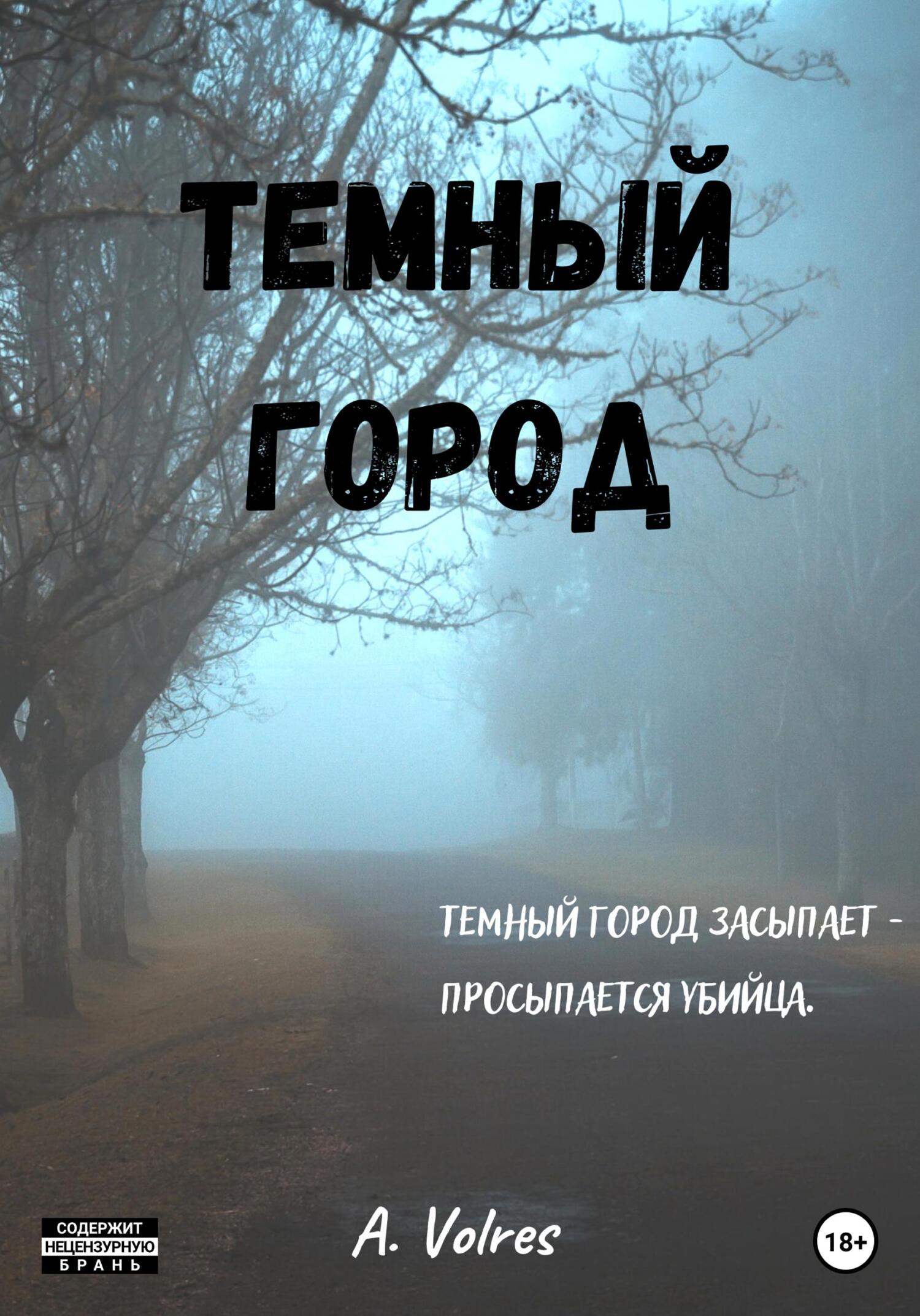 Темный город - A. Volres - Читать книги онлайн | Слушать аудиокниги онлайн | Электронная библиотека books-lib.com