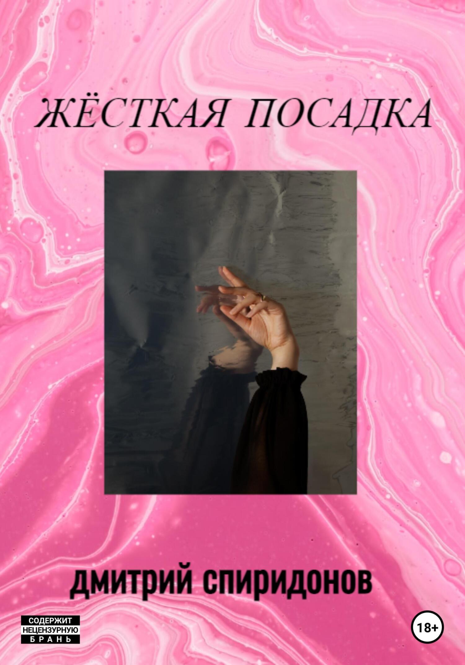 Жёсткая посадка - Дмитрий Спиридонов - Читать книги онлайн | Слушать аудиокниги онлайн | Электронная библиотека books-lib.com