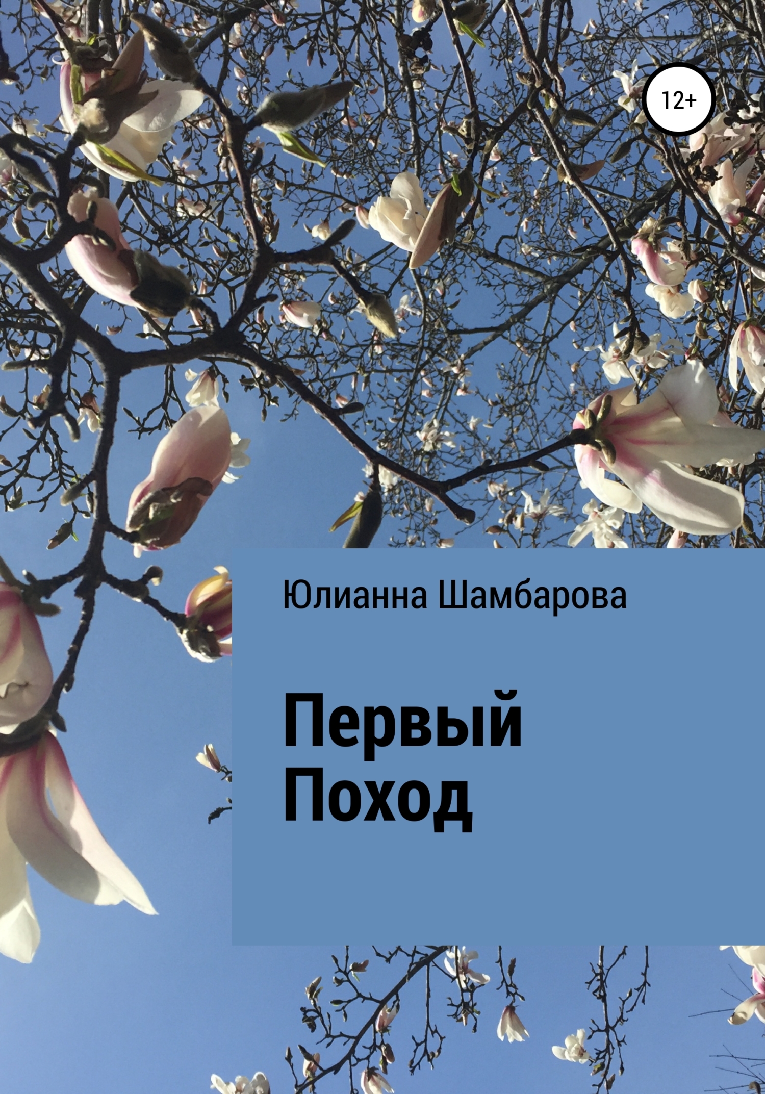 Первый поход - Юлианна Шамбарова - Читать книги онлайн | Слушать аудиокниги онлайн | Электронная библиотека books-lib.com