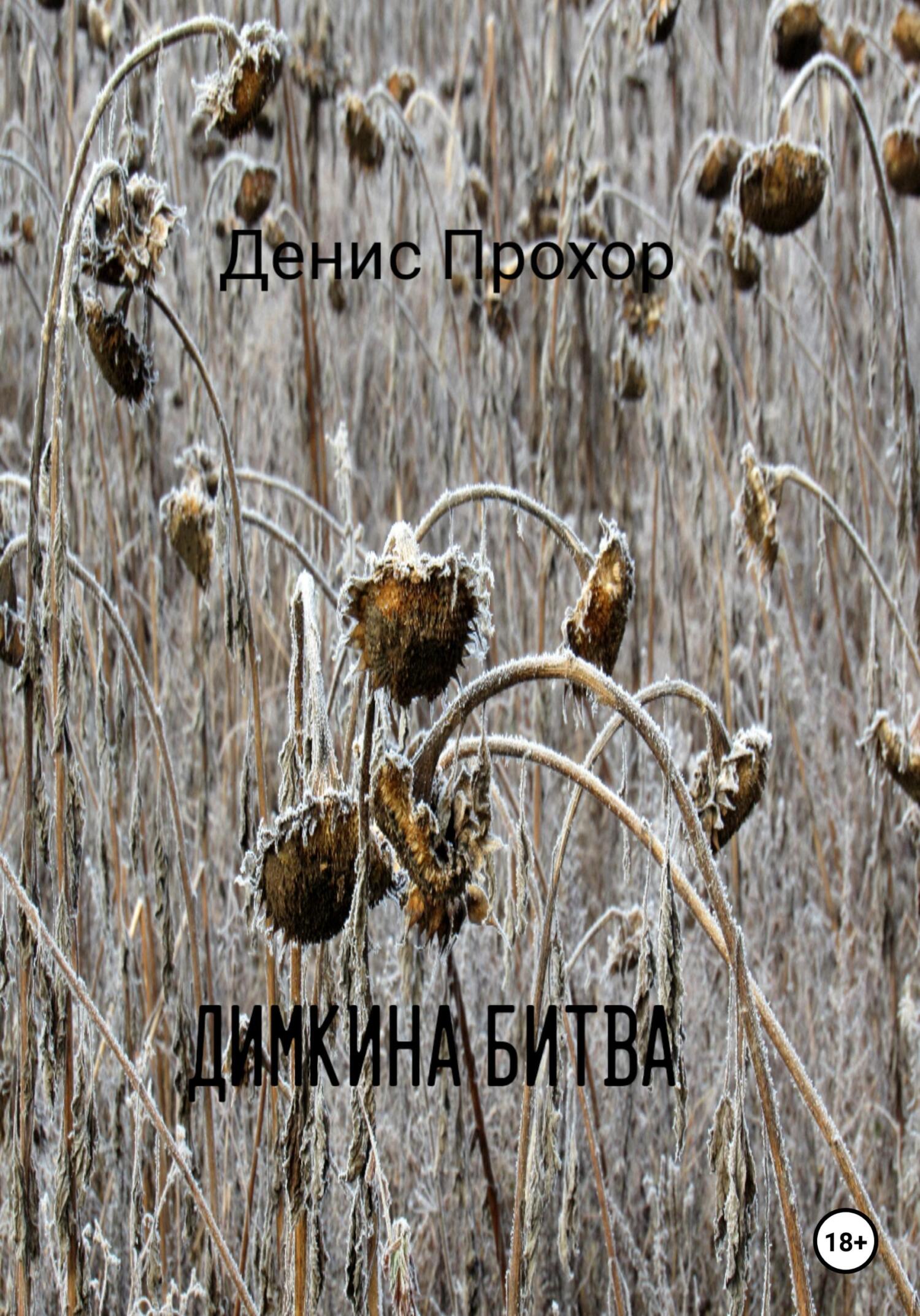 Димкина битва - Денис Викторович Прохор - Читать книги онлайн | Слушать аудиокниги онлайн | Электронная библиотека books-lib.com