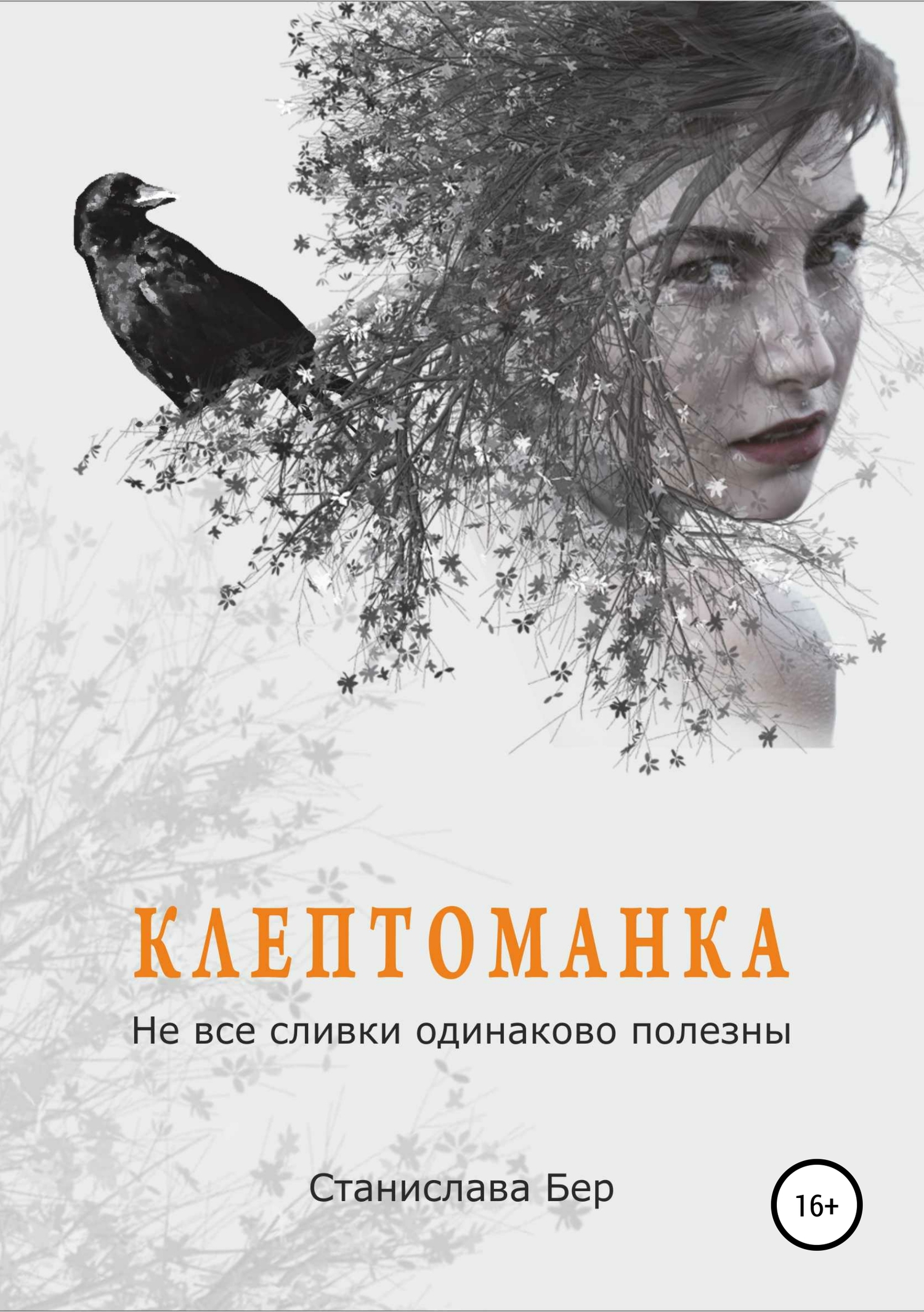Клептоманка. Не все сливки одинаково полезны - Станислава Бер - Читать книги онлайн | Слушать аудиокниги онлайн | Электронная библиотека books-lib.com